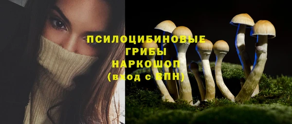 меф Ладушкин