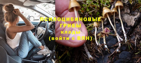 mdpv Лабытнанги
