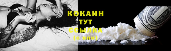 mdpv Лабытнанги