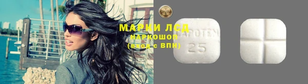 молекула духа Краснослободск