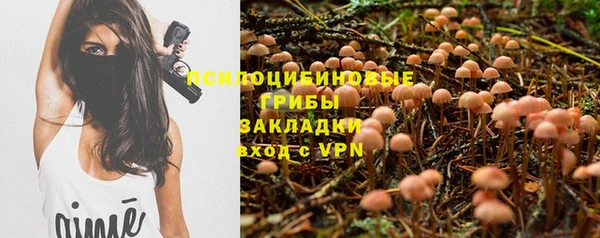 меф Ладушкин