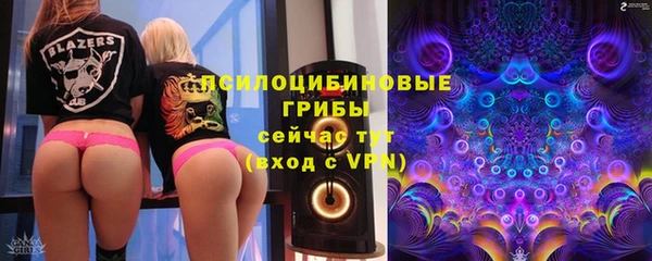 трава Куйбышев
