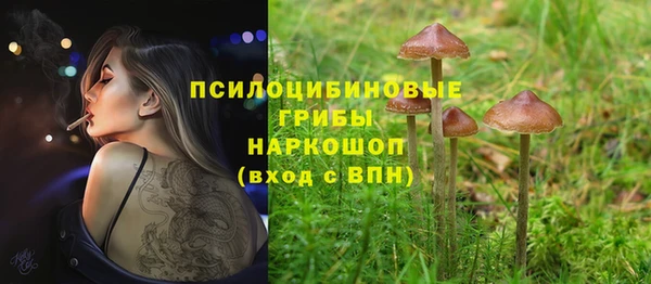 трава Куйбышев