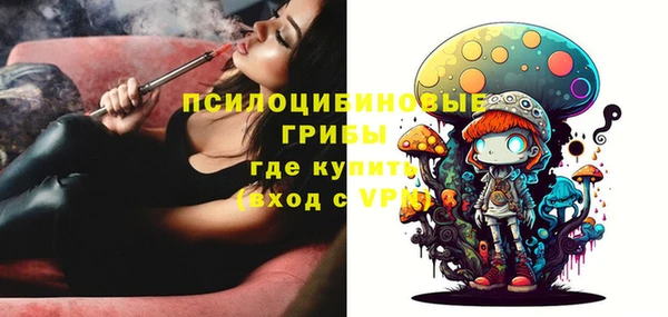 ешки Кукмор
