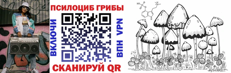 hydra tor  Починок  Псилоцибиновые грибы мицелий 
